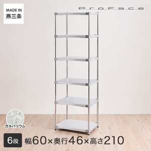 PROFACE vtFCX KoE ϔM hK h Ɩp t[bN 60 s46 210 6i (61.5×s46.3×209cm) GGS6-4660