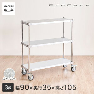PROFACE vtFCX KoE ϔM hK h Ɩp S Ԏ[ ȃXy[X LX^[t ړ 90 s35 105 3i (91.3×s36.2×105.5cm) GSW3-35909