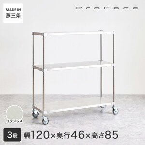 PROFACE vtFCX SUS304XeX XeXbN q a@  { S Ԏ[ ȃXy[X LX^[t ړ 120 s46 85 3i (121.7×s46.3×87.3cm) SSW3-461207