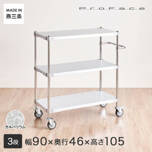 PROFACE vtFCX KoE ϔM hK h Ɩp nhtS Ԏ[ ȃXy[X LX^[t ړ 90 s46 105 3i (91.3×s46.3×105.5cm) TGGS3-46909