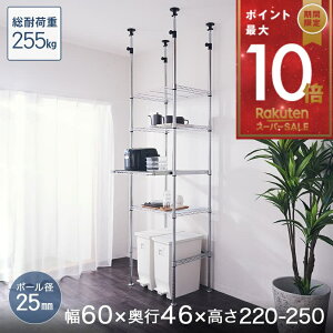 420!P10{ Lb`bN W ~iX bN 25mm 4i 60 s46 220-250 Iω׏d255kg ˂ XChIE~`AWX^[t ^ bN X`[VFt