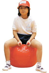 z[{[ a40cmiԁjoX{[@t@ nh 肷 oX{[ 40cm@ q@bh@̊g[jO@Ci[}bX@_CGbg@Xgb` 