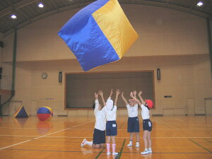 AJol(AKABANE) GA{[iL[upj F-2010Eʓr