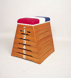 AJol(AKABANE) ^6i T-306Eʓr