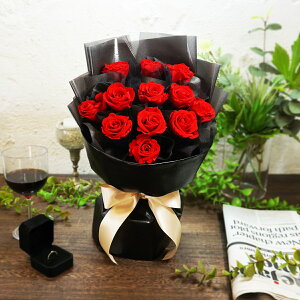 ͂ȂԁAԃo12{̃vU[uht[̃u[PANAP[XByrbOTCYzԃo vU[uht[ v|[Y NX}X a LO Ԍt o^C