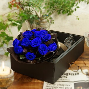 ͂ȂԁAo12{̃vU[uht[̃u[PA{bNXByrbOTCYzo vU[uht[ v|[Y a LO Ԍt o^Cf[ zCgf