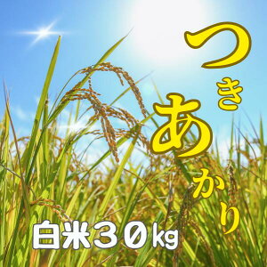 ÎY ߘa7NY VĂ 쏤XI  10kg 30kg 