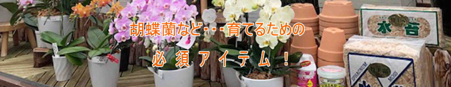 育てるための必須アイテム
