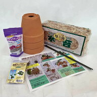 胡蝶蘭植え替えセット【4.5号鉢】（一部地域別途送料）