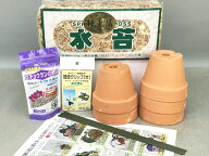 胡蝶蘭植え替えセット【3.5号鉢】（一部地域別途送料）