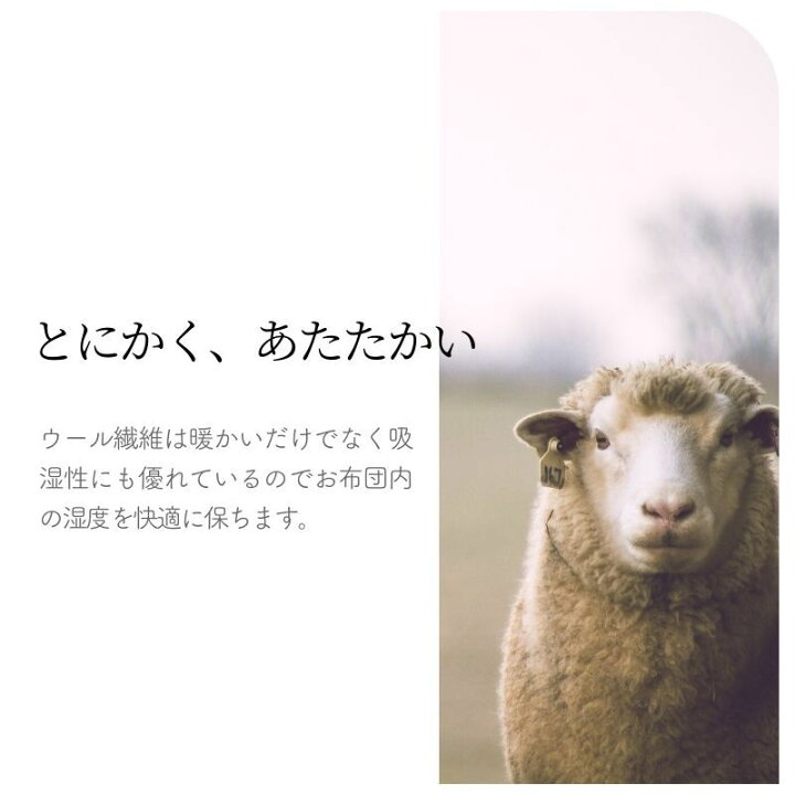 楽天市場】《カシミヤ20％入りウール毛布》日本製 シングル毛布 140  