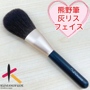yMՂZ[20%OFFz DX100%  F쉻ϕM FM CNuV HRspV[Y/tFCXuV/HRsp-B1 σuV ϕM v[g   { AE j g Mtg VR