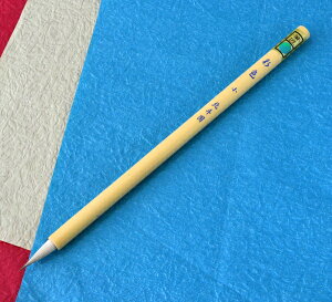 yԗDǃVbv܁z  M ʐFpʐF /SG-01n {