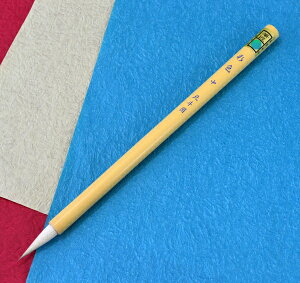 y25 1/2̊mōő100%|CgobNz  M ʐFpʐF /SG-02n {