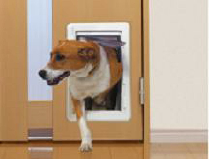 楽天市場 ペットールオリジナルｍ 猫 中型犬 用ペットドア ペットアカシヤ