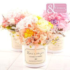 出産祝い 花 プリザーブドフラワーの人気商品 通販 価格比較 価格 Com