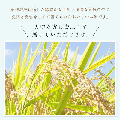 【送料無料】出産内祝い内祝い米名入れお返しギフトコウノトリハグ米|HUG米コシヒカリ5個入り|2合300g×5袋|※代引き決済不可※北海道・沖縄は別途送料をいただきます