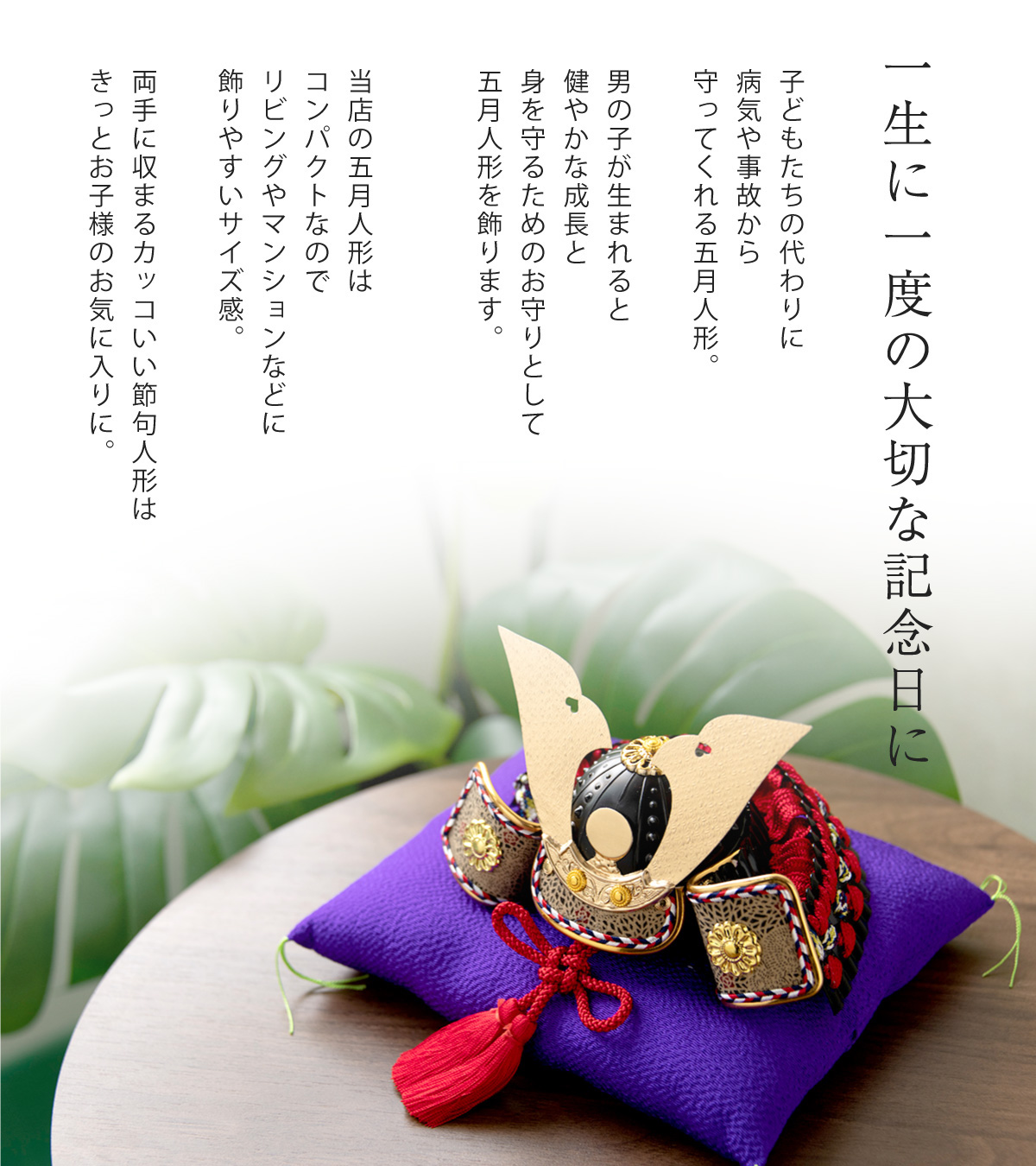 楽天市場】五月人形 コンパクト 兜飾り 鯉のぼり 室内こいのぼり