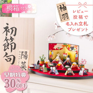 yT!! 30OFF12/1 ߂܂Łzl` RpNg _  킢 l ~j TCY ЂȐl` [P[X ʎOiא10l 3i [  ߂ s