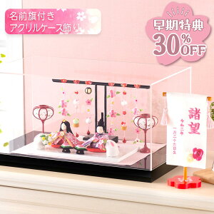 yT!! 30OFF12/1 ߂܂Łzl` RpNg P[X _  킢 l ~j TCY ЂȐl` e XIWiOZbg ߂ ՂĂ 