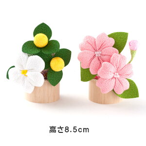 ���k ���l�` �ЂȐl�` ������ �ЂȐl�` ����߂� �ؐ��ۑ� ���k �ЂȐl�`�p������Z�b�g �����l ���s�V�� ���Փ� �����E�R�h�E