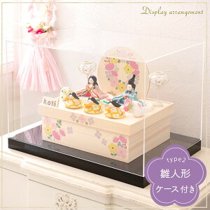 l` RpNg _  킢 l ~j TCY ЂȐl` [ P[X ANP[X  koti 5l[ ߂  ˔ sV Փ 