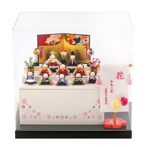 l` RpNg P[X _  킢 l ~j TCY ЂȐl` ؐ[P[X ANP[X [ Oi ߂ ߉ ꂢ 10l ERhE r