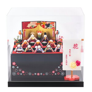 l` RpNg P[X _  킢 l ~j TCY ЂȐl` ؐ[P[X ANP[X [ Oi ߂ ߉ ꂢ 10l ERhE r