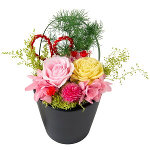 y5OFF!! 11/27 ߂܂Łzҗj  v[g vU[uht[  Ďj P  Ê  a ސEj Dt Mtg t[AWg o a JXj V