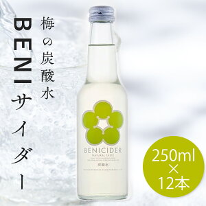 Mtg v[g W[X ~ NG_ TC_[  Y_  Y_ Y VR~ʏ`yBENITC_[ 250ml×12{z mAR[ gf~ ׂɂ~ 󏭎  Mtg 
