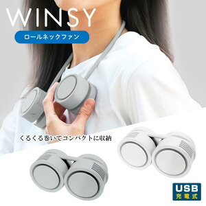 USB[d [lbNt@ EBW[ WINSY 30816 30817 @ nfB@ ΍ ҏ [d