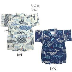 r p[X xr[ {n j̎q j q 14F 100 a 70cm 80cm pX 14 ׂ   LbY pW}  {n