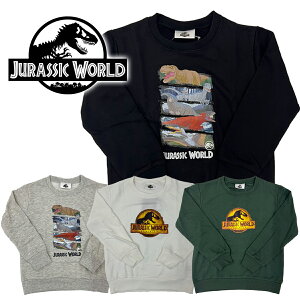 WVbN[h g[i[ JURASSIC WORLD gbvX XEFbg gbvX  130cm 140cm 150cm 160cm XN[TCY fTVc