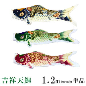 y1.2m Pi g˓Vẑڂ p[g[Ĥڂ 4FEEΌEisNjEԌ t H@q