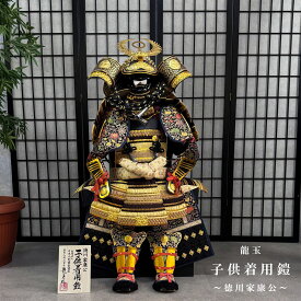 数量限定価格 徳川家康【着用鎧飾り】30号 龍玉作 三歳〜七歳 五月人形/端午の節句/大鎧/着用