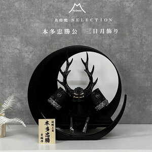 ܌l` 8  { 8 ی^O / ۑ Ԍ39cm RpNg O^ ~` ~^ ߋ [߂̐ߋ ܌l` ǂ̓  _ VbN ubN z