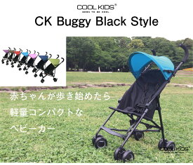 【エンドー】クールキッズバギー BKシリーズ　COOL KIDS　CKバギー　7色 限定カラー/軽量ベビーカー/生後7ヶ月から/背面ストローラー