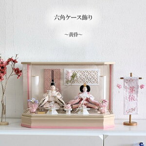 P[X l` ЂȐl` ANP[X RpNg Zp AC{[/sN Ԍ54cm  ߋ j ̐ߋ Ol`  P[X e ЂȐl` l e AN