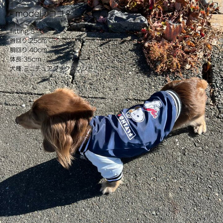 楽天市場】ペット服 スヌーピー スタジャン スタジアムジャンパー 犬用 