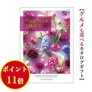 _|Cg11{^yz J^OMtg eCNA`CX [Y 4900~ n[jbN  o j Ԃ j takeyourchoice oYj oYj O  lC 4000