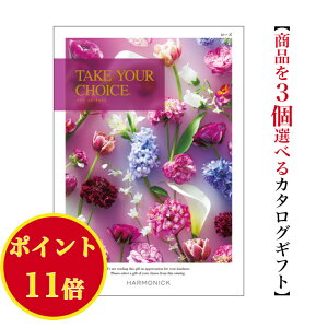 _|Cg11{^yz J^OMtg eCNA`CX [Y gv 15000~ n[jbN  o j Ԃ j takeyourchoice oYj oYj O 
