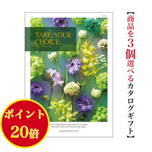 _|Cg20{^ yz J^OMtg eCNA`CX [ gv 50000~ n[jbN  o j Ԃ jtakeyourchoice oYj oYj O 