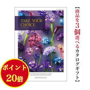 _|Cg20{^yzJ^OMtg eCNA`CX Zg|[A gv 80000~ n[jbN  o j Ԃ jtakeyourchoice oYj oYj O 