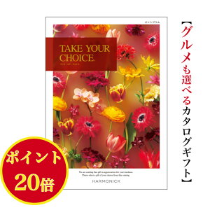 _|Cg20{^ yz J^OMtg eCNA`CX IVWE 30900~ n[jbN  o j Ԃ jtakeyourchoice oYj oYj O  l