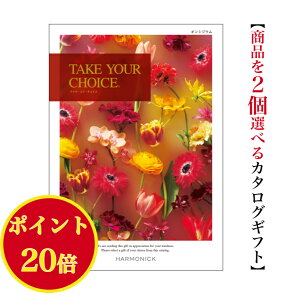_|Cg20{^ yz J^OMtg eCNA`CX IVWE _u 60000~ n[jbN  o j Ԃ jtakeyourchoice oYj oYj O 