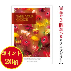 _|Cg20{^ yz J^OMtg eCNA`CX IVWE gv 100000~ n[jbN  o j Ԃ jtakeyourchoice oYj oYj O 