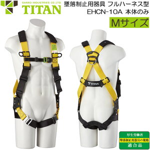 tn[lX^ ė~p S C[W[n[lX MTCY Comfort EHCN-10A-M n[lX{̂̂(xg) ubN×CG[ VKiKi TITAN/^C^ TR[ t{fBn[l