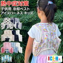 子供用 保冷剤ベスト 熱中症対策グッズ 冷却ベスト アイスハーネス キッズ 選べる保冷剤セット 2歳から10歳向け【クー…