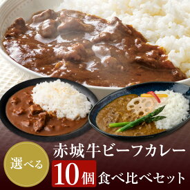 カレー 赤城牛 ビーフカレー 選べる 10個 セット 常温 お取り寄せ グルメ 国産牛 牛肉 レトルト ビーフ カレー 詰め合わせ 贈答用 ギフト