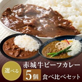 カレー 赤城牛 ビーフカレー 選べる 5個 セット 常温 お取り寄せ グルメ 国産牛 牛肉 レトルト ビーフ カレー 詰め合わせ 贈答用 ギフト